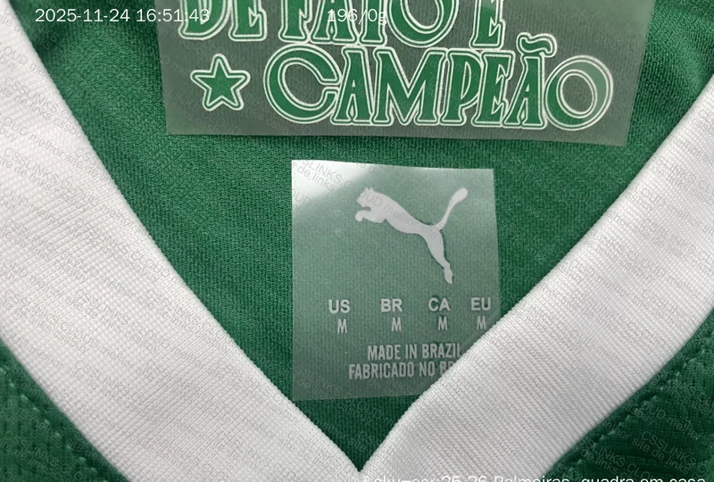 Palmeiras Player Version T-Shirt 2