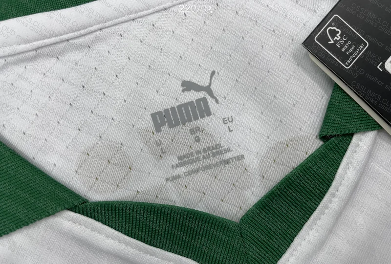 Palmeiras T-Shirt 2
