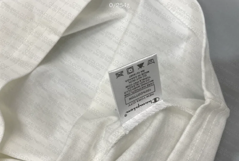 Champion T-Shirt and Sweatshirt 10