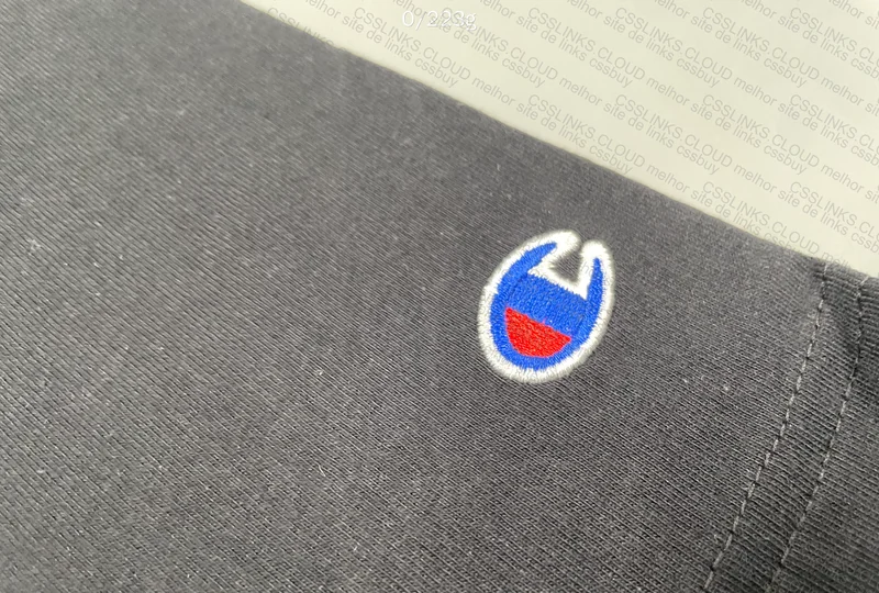 Champion T-Shirt and Sweatshirt 4