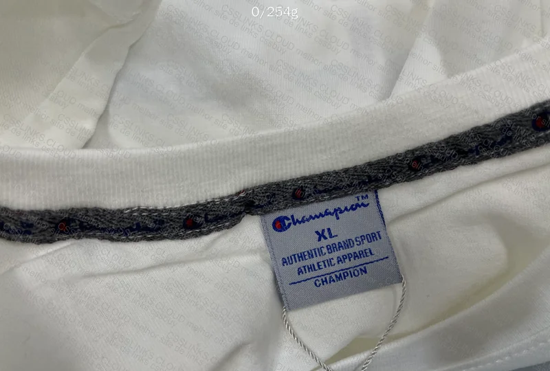 Champion T-Shirt and Sweatshirt 8