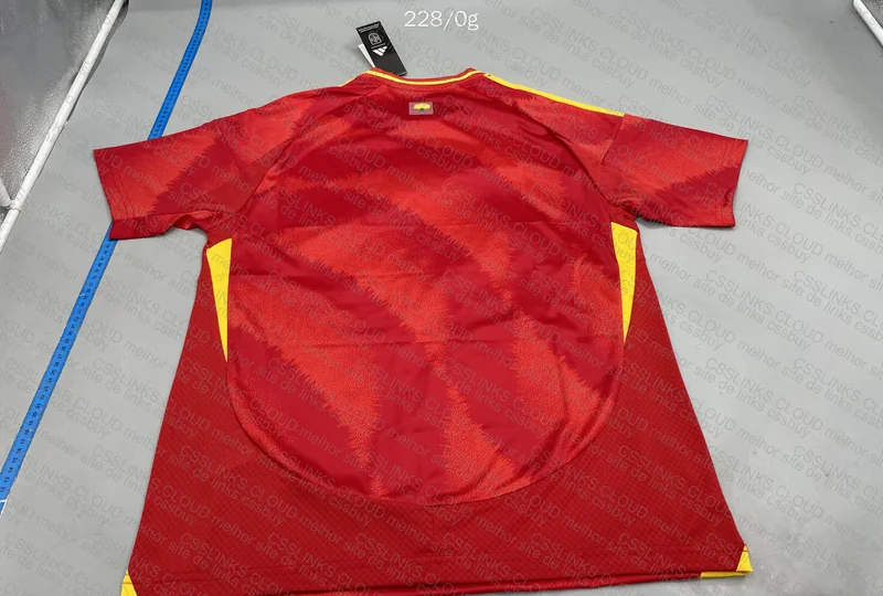 Spain EURO2024 T-Shirt 5
