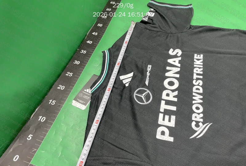Camiseta F1 - Mercedes 2