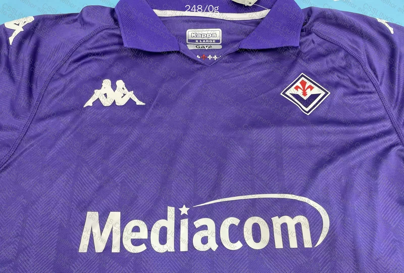 Fiorentina T-Shirt 3