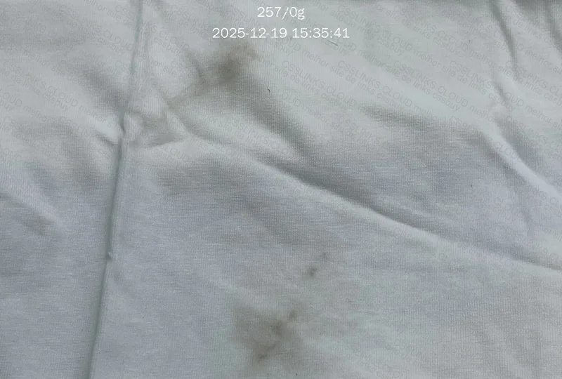 Lacoste T-Shirt - Used 3