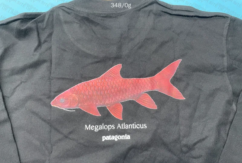 Patagonia World Trout Long Sleeve T-Shirt 3