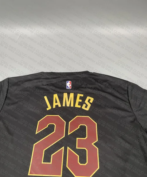 Nike LeBron T-Shirt 7
