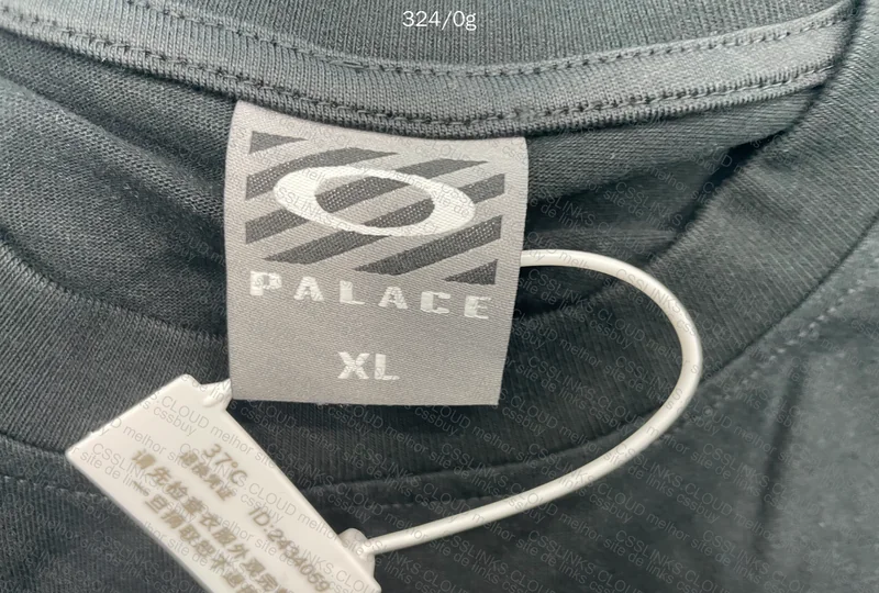 Oakley x Palace T-shirt 5