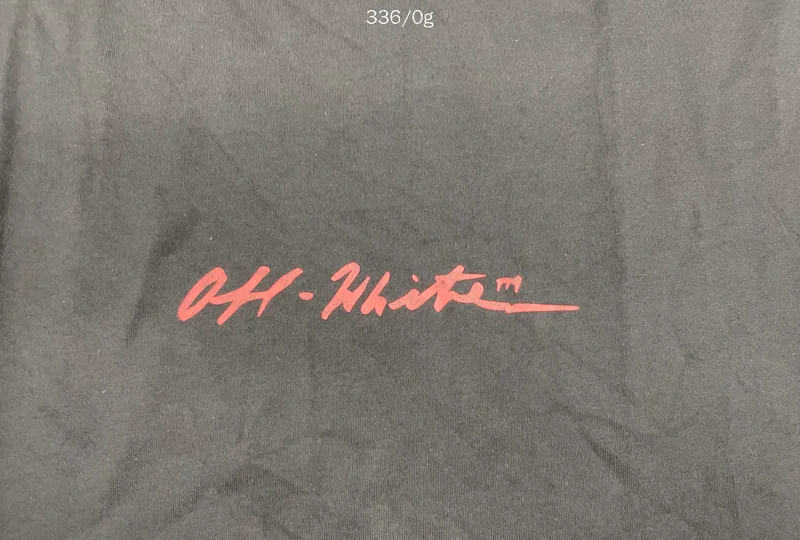 Off White T-Shirt (Small Back Logo?) 3