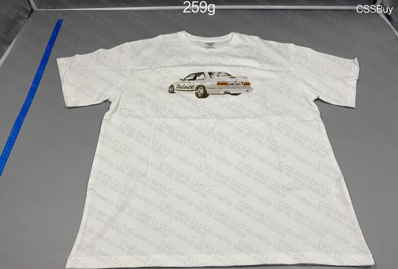 Palace T-Shirt 2
