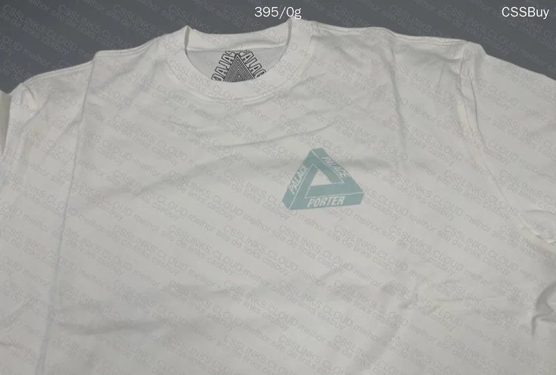 Palace T-Shirt 2