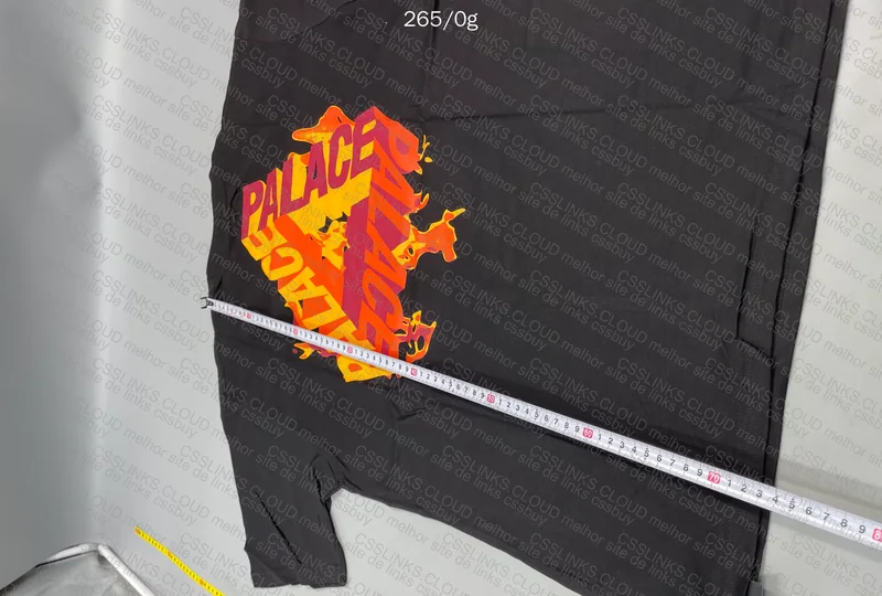 Palace T-Shirt