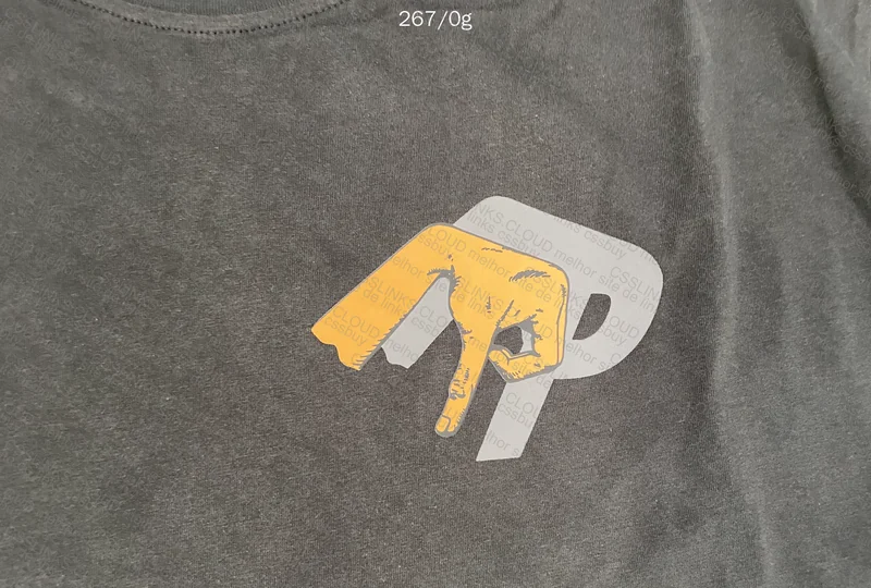 Palace T-Shirt 2