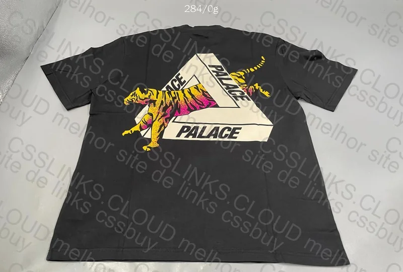 Palace T-Shirt 2