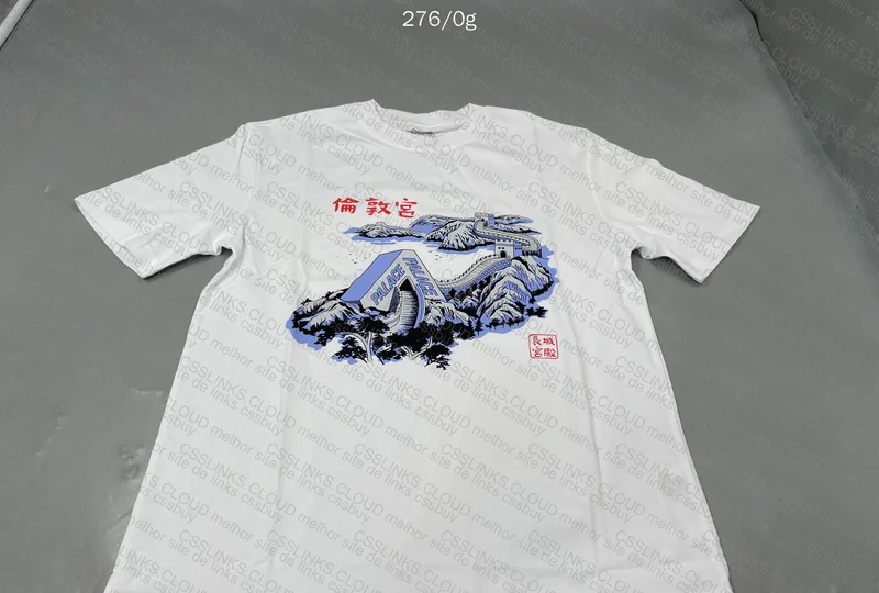 Palace T-Shirt 2