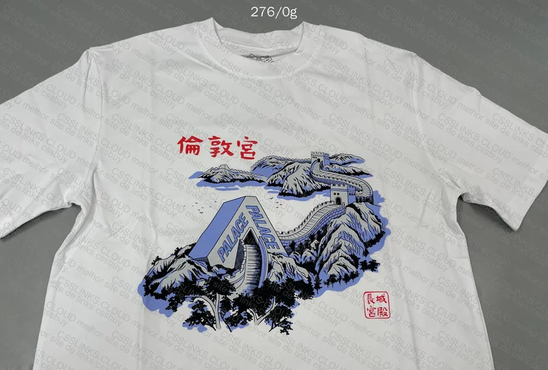 Palace T-Shirt 4