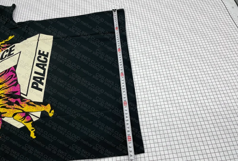 Palace T-Shirt 2