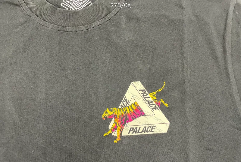 Palace T-Shirt 5