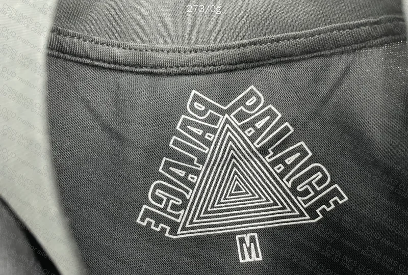 Palace T-Shirt 6