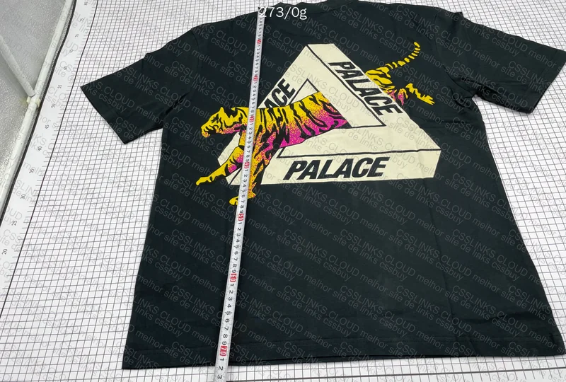 Palace T-Shirt 9
