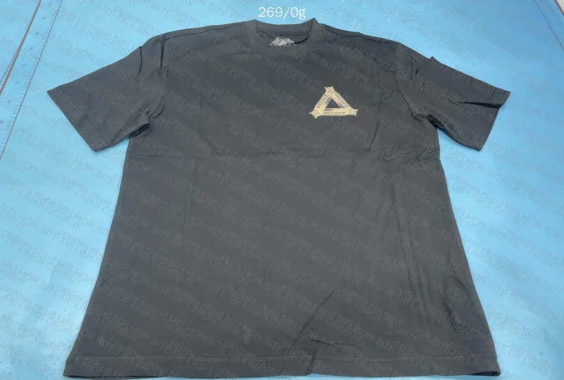 Palace T-Shirt 2
