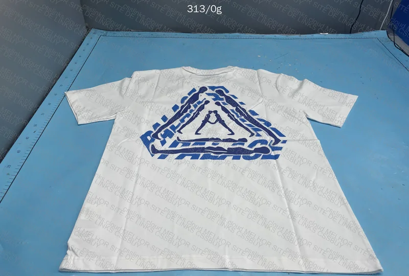 Palace T-Shirt 2