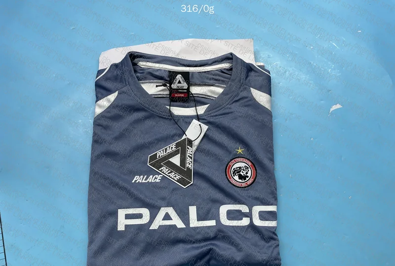 Palace Tiger Promotion T-Shirt