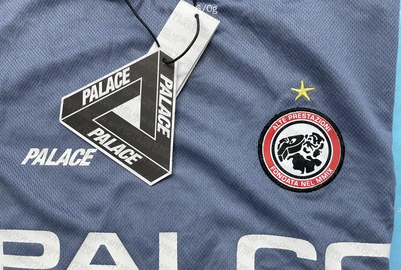 Palace Tiger Promotion T-Shirt 5