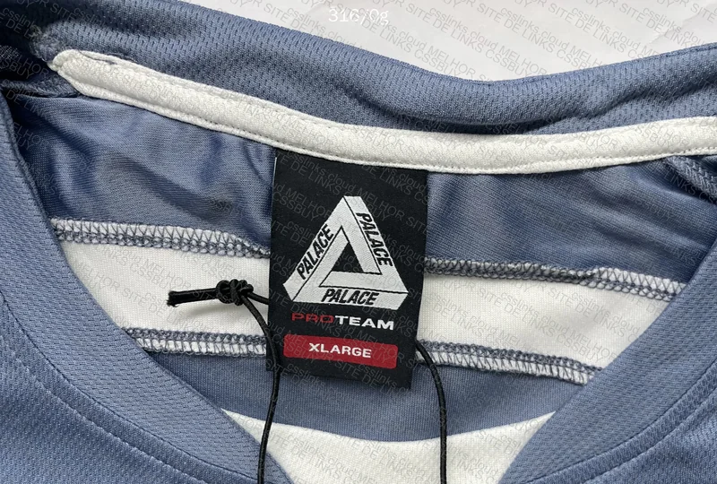 Palace Tiger Promotion T-Shirt 6
