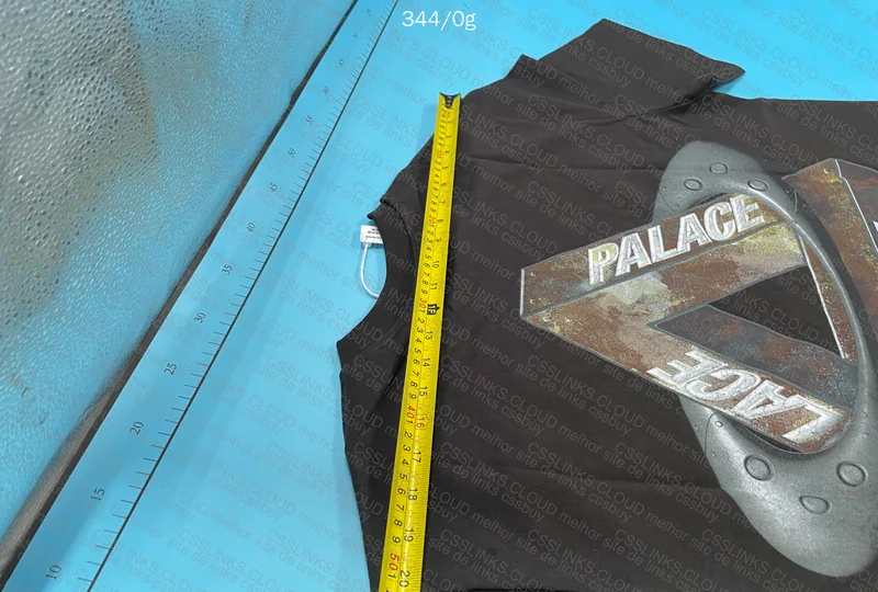 Palace x Oakley T-Shirt 4
