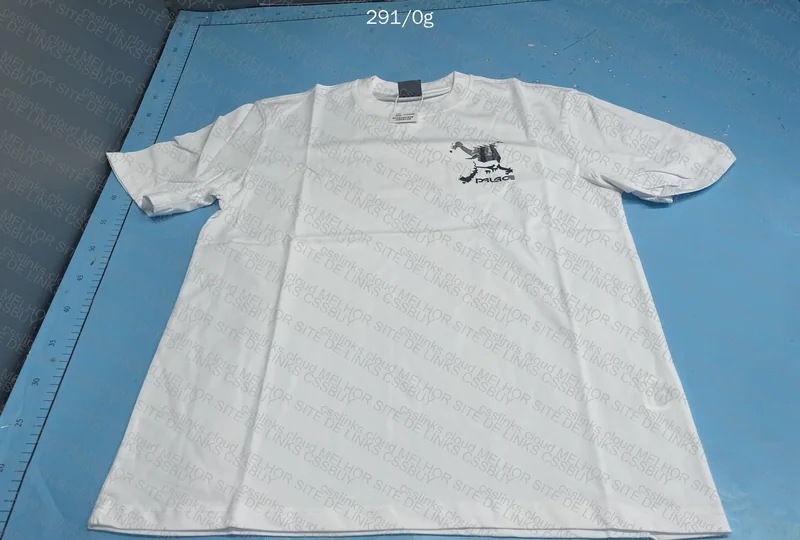 Palace x Oakley T-Shirt 2