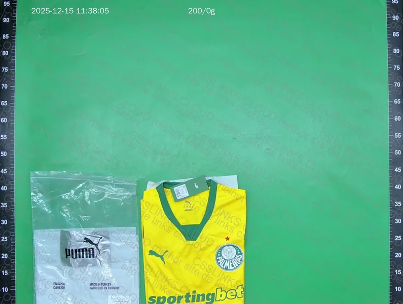 Palmeiras T-Shirt 2