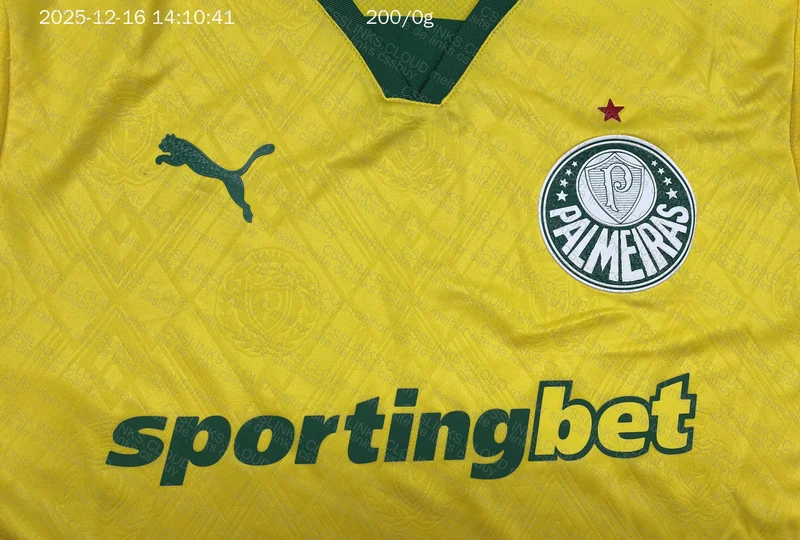 Palmeiras T-Shirt 3