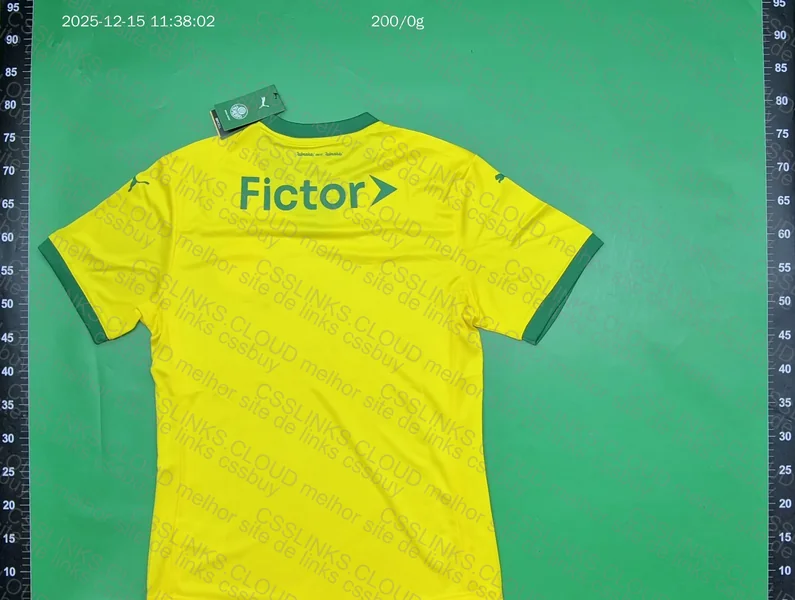 Palmeiras T-Shirt 5