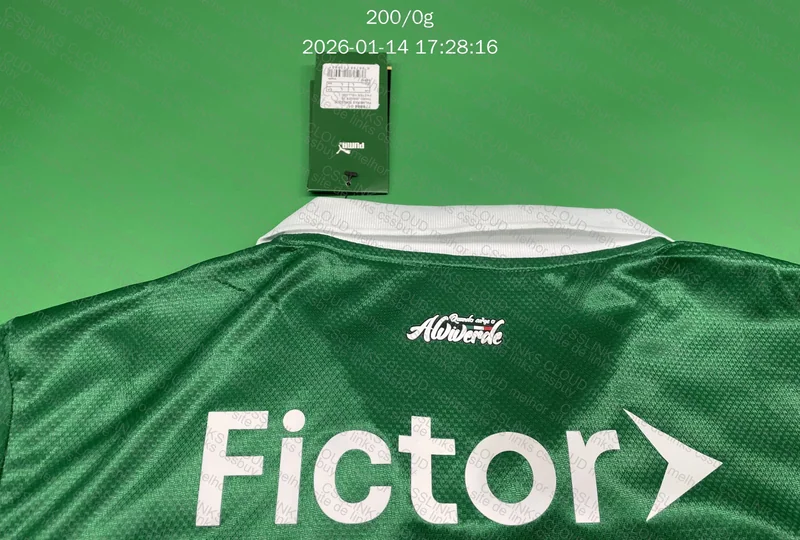 Camiseta Palmeiras 5