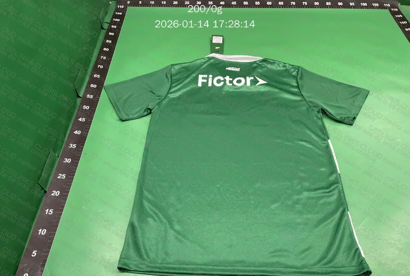 Camiseta Palmeiras 7