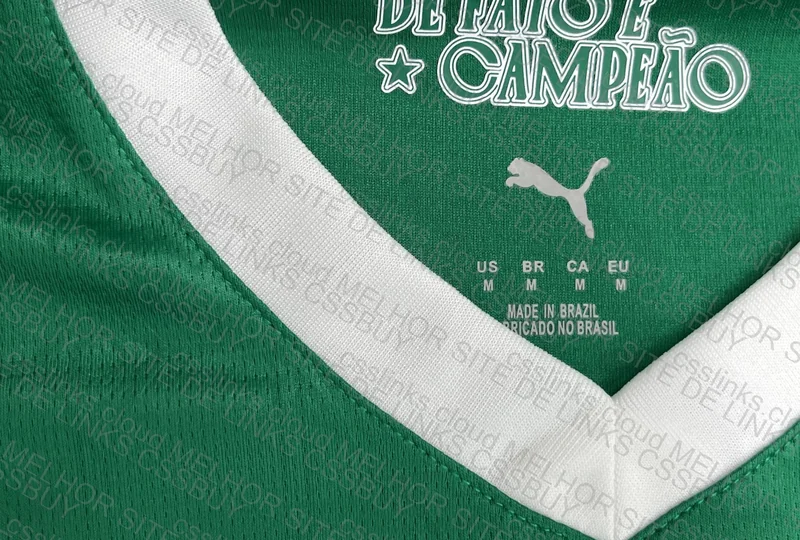 Palmeiras 25/26 T-Shirt
