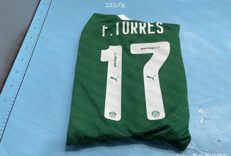 Palmeiras 25/26 Player T-Shirt