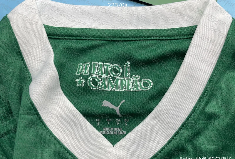 Palmeiras 25/26 Player T-Shirt 2