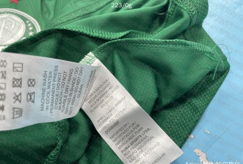 Palmeiras 25/26 Player T-Shirt 3