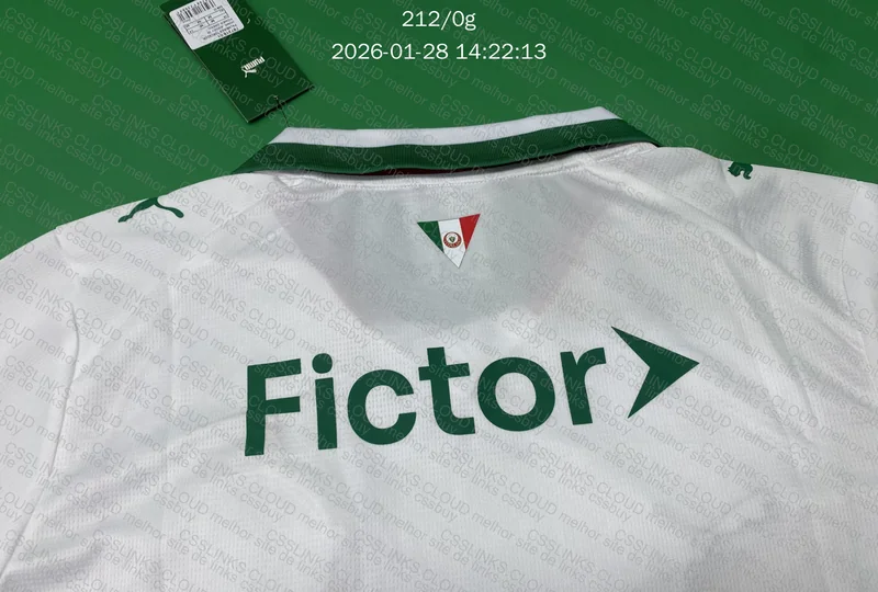 Camiseta Palmeiras 26/27 3