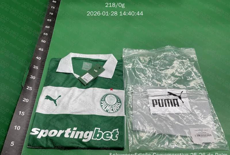 Camiseta Palmeiras Jogador, EC (MT BRABA)
