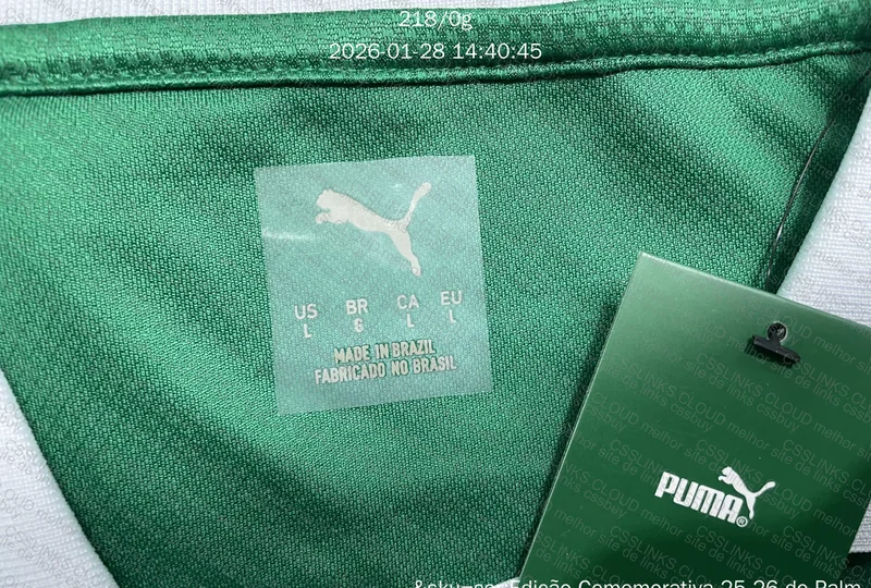 Camiseta Palmeiras Jogador, EC (MT BRABA) 2