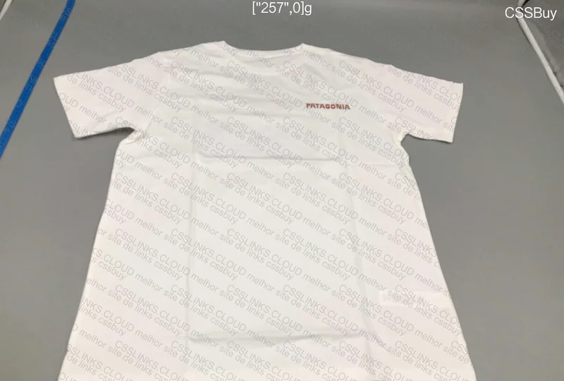 Patagônia T-Shirt