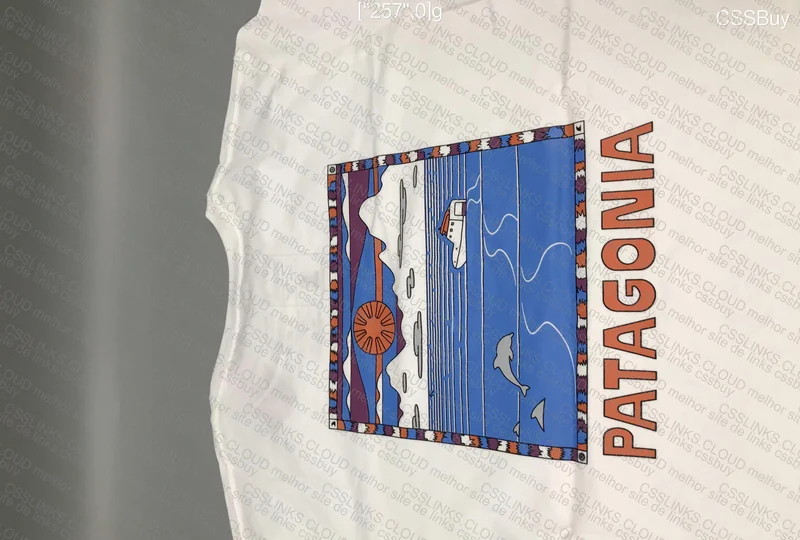 Patagônia T-Shirt 2