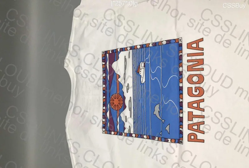 Patagônia T-Shirt 3