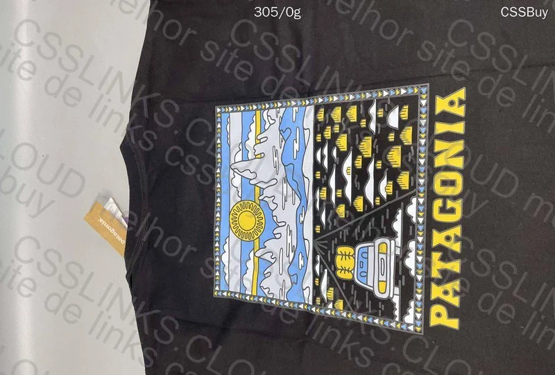 Patagonia T-Shirt