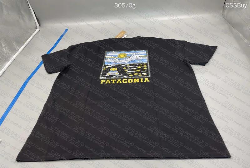 Patagonia T-Shirt 2