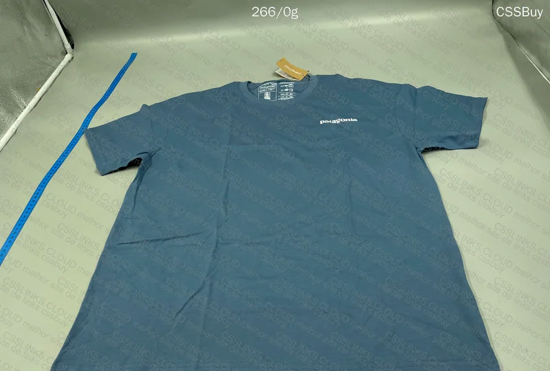 Patagonia T-Shirt
