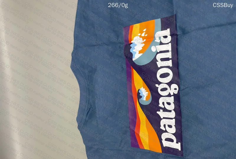 Patagonia T-Shirt 4